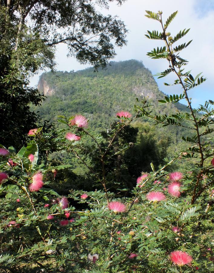 Chiang Dao Roundhouses Esterno foto