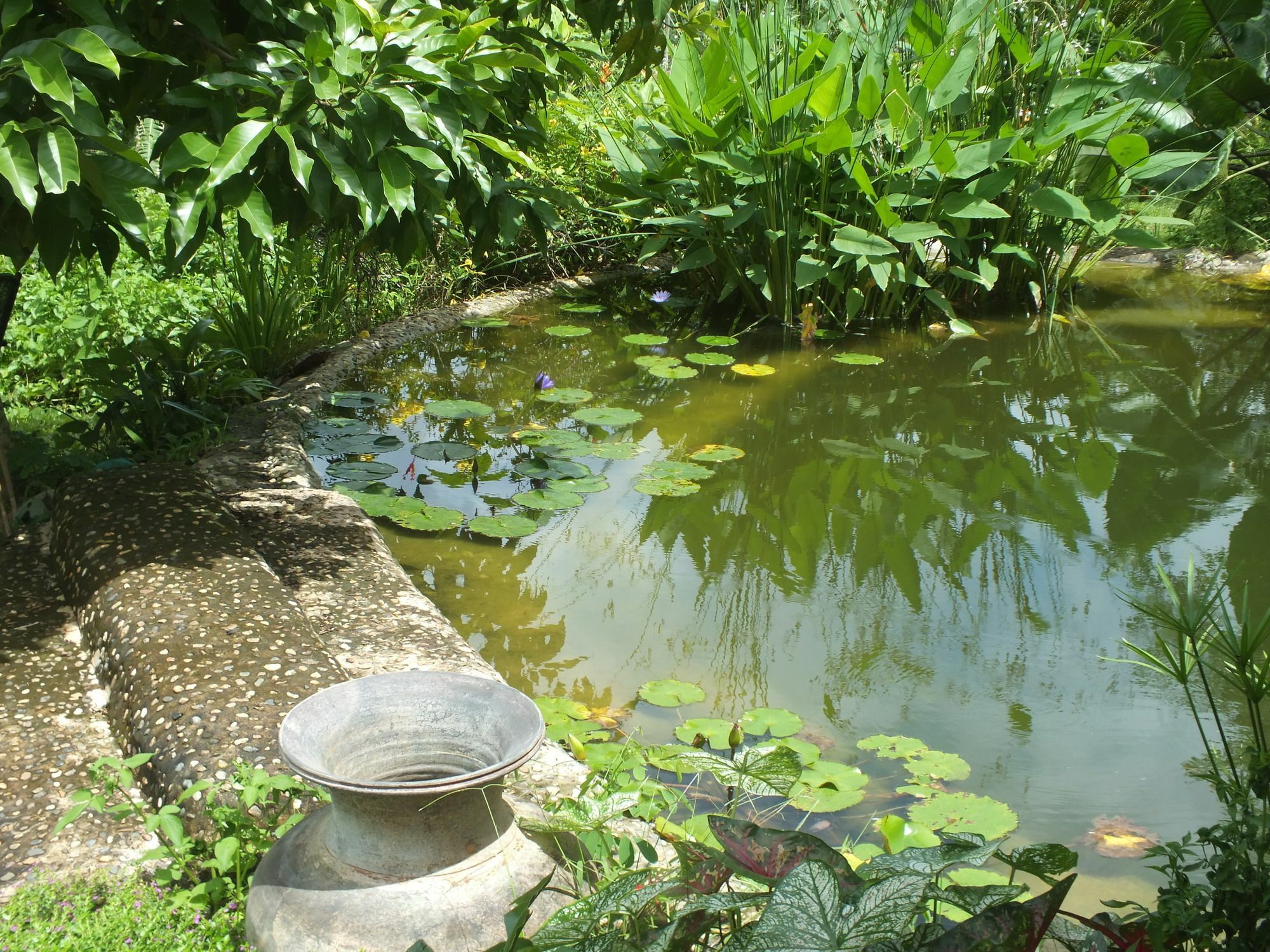 Chiang Dao Roundhouses Esterno foto